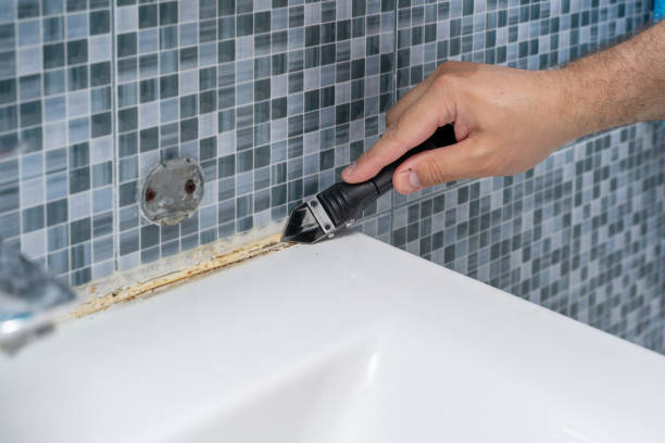 Best Kitchen Mold Remediation in Diamond Springs, CA